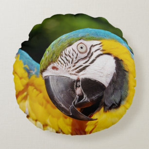 Head of a Blue and Yellow Macaw Round Cushion