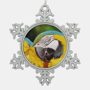 Head of a Blue and Yellow Macaw Snowflake Pewter Christmas Ornament