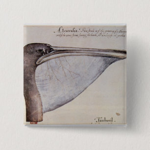Head of a Brown Pelican 15 Cm Square Badge