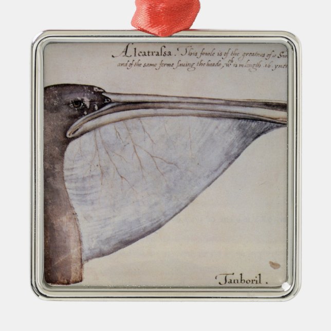 Head of a Brown Pelican Metal Tree Decoration (Front)