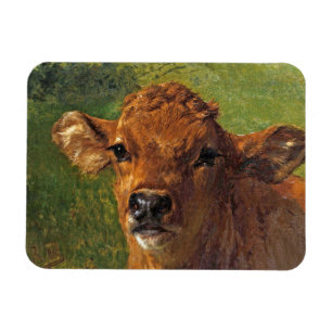Head of a Calf (by Rosa Bonheur) Magnet