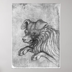 Head of a dog, from the The Vallardi Album Poster