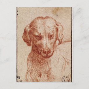Head of a Dog Postcard