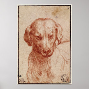 Head of a Dog Poster