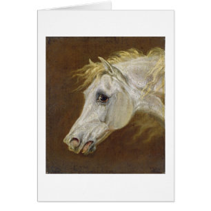 Head of a Grey Arabian Horse (oil on canvas on pan