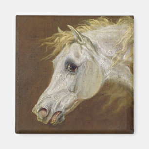Head of a Grey Arabian Horse (oil on canvas on pan Magnet