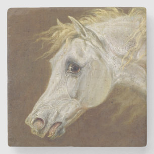 Head of a Grey Arabian Horse (oil on canvas on pan Stone Coaster