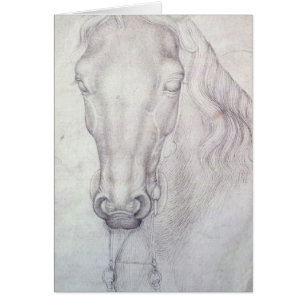Head of a Horse
