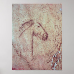 Head of a Horse, from the Cueva de la Pena Poster