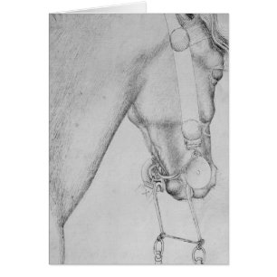 Head of a horse, from the The Vallardi Album