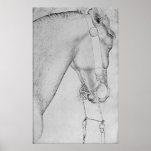 Head of a horse, from the The Vallardi Album Poster