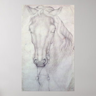 Head of a Horse Poster