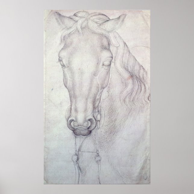 Head of a Horse Poster (Front)