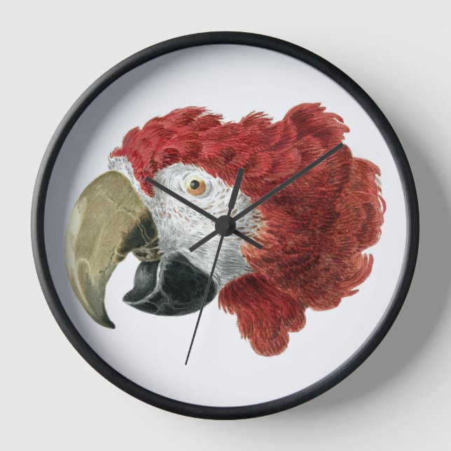 Head of a Macaw (1725–1792) Aert Schouman Clock (Front)