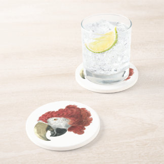 Head of a Macaw (1725–1792) Aert Schouman Coaster