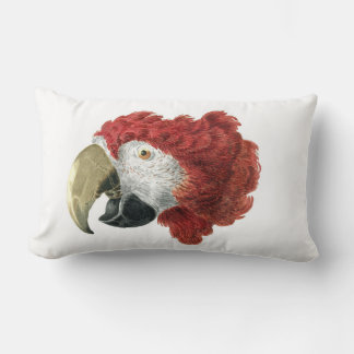 Head of a Macaw (1725–1792) Aert Schouman Lumbar Cushion