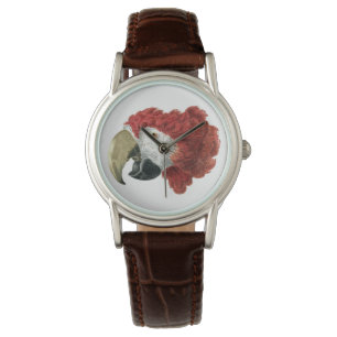 Head of a Macaw (1725–1792) Aert Schouman Watch