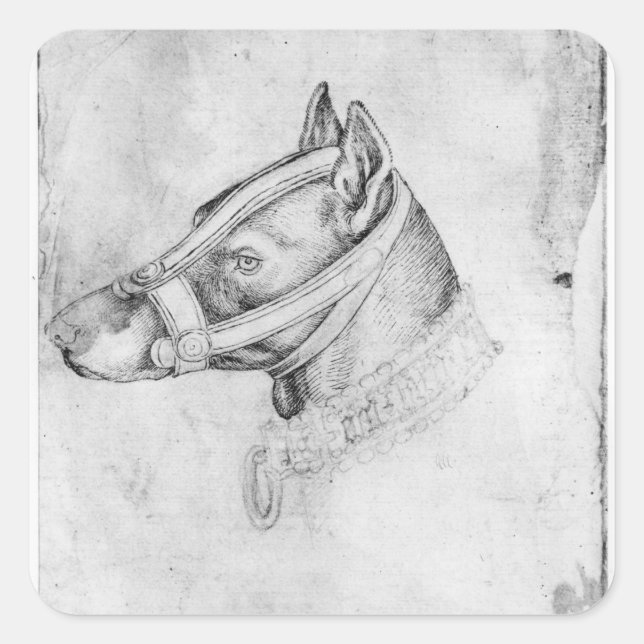 Head of a muzzled dog square sticker (Front)