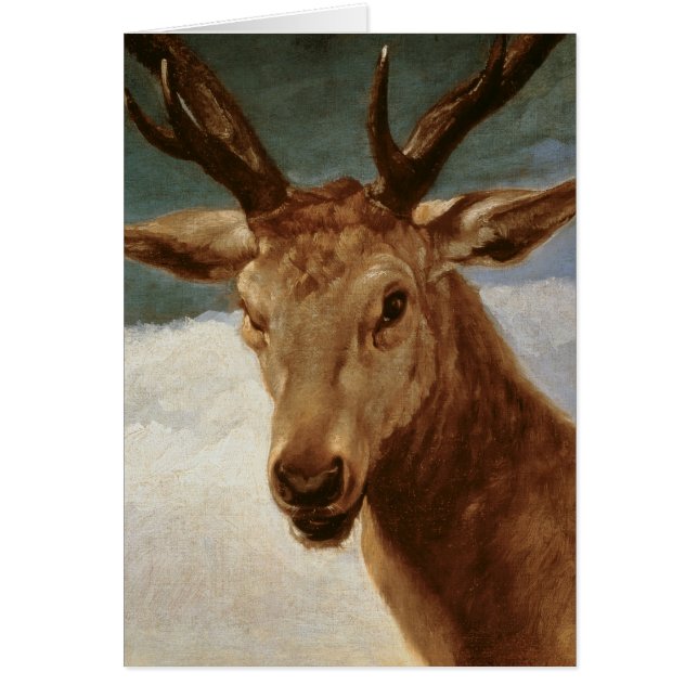 Head of a Stag, 1634 (Front)
