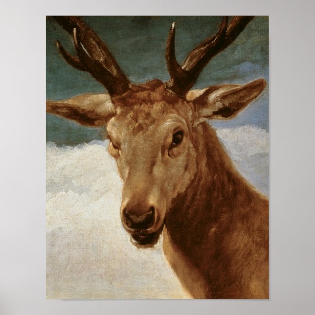 Head of a Stag, 1634 Poster (Front)