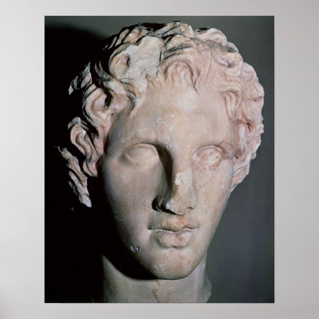 Head of Alexander the Great Poster (Front)