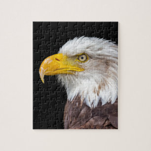 Head of bald eagle on black jigsaw puzzle