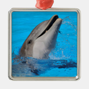 Head of bottlenose dolphin metal ornament