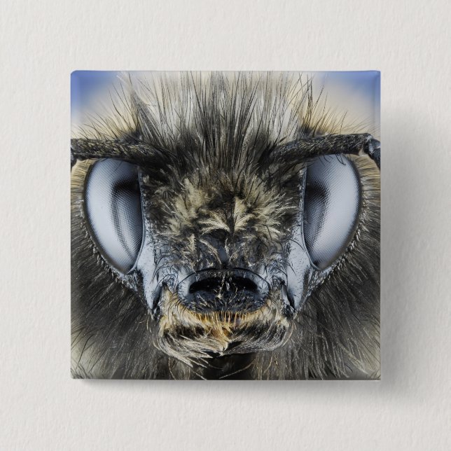 Head of bumblebee 15 cm square badge (Front)