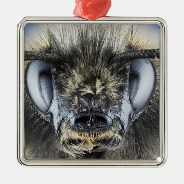 Head of bumblebee metal tree decoration (Front)