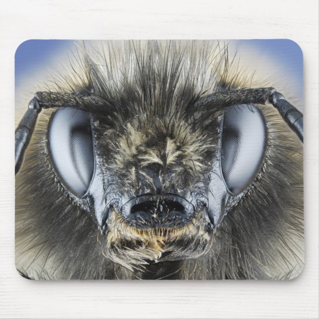 Head of bumblebee mouse pad (Front)