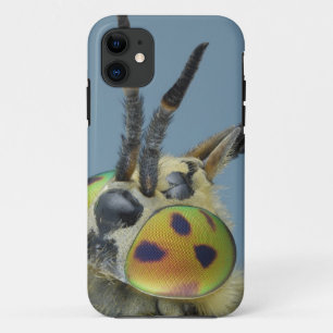 Head of deer fly iPhone 11 case