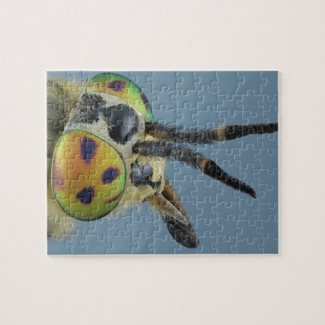 Head of deer fly jigsaw puzzle (Horizontal)