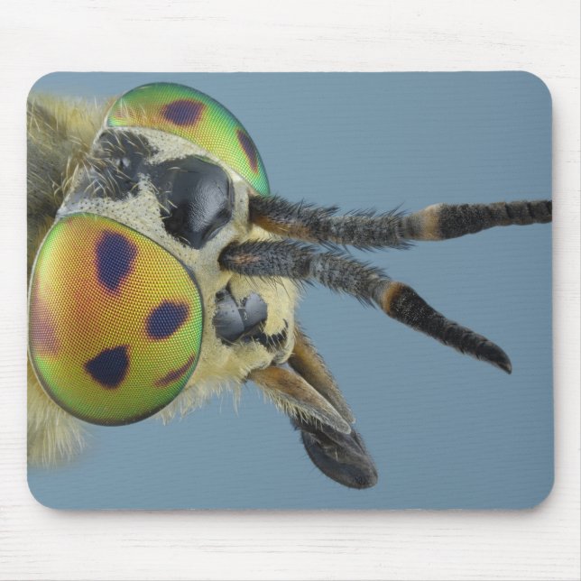 Head of deer fly mouse pad (Front)