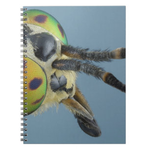 Head of deer fly notebook