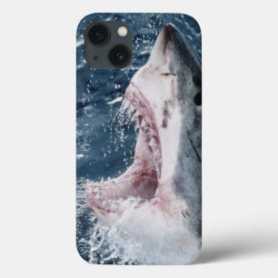 Head of Great White Shark iPhone 13 Case