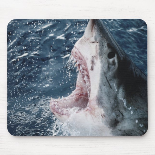 Head of Great White Shark Mouse Pad (Front)