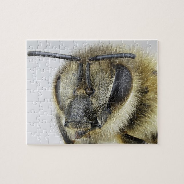Head of honeybee jigsaw puzzle (Horizontal)