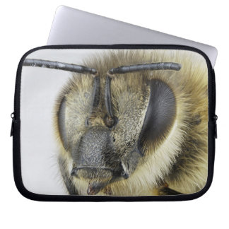 Head of honeybee laptop sleeve