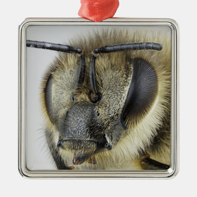 Head of honeybee metal tree decoration (Front)