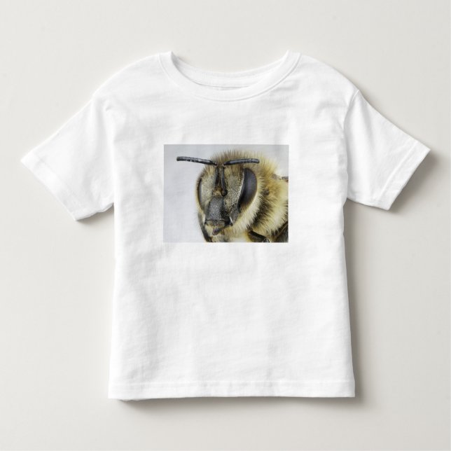 Head of honeybee toddler T-Shirt (Front)