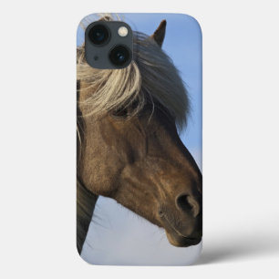Head of Icelandic horse, Iceland iPhone 13 Case