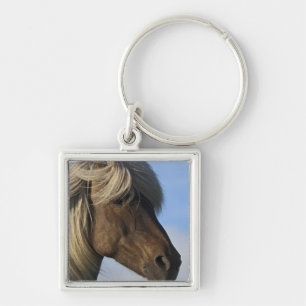 Head of Icelandic horse, Iceland Key Ring