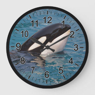 Head of killer whale large clock