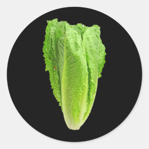 Head of Lettuce Leaves Funny Halloween Lettuce Classic Round Sticker