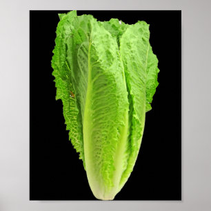 Head of Lettuce Leaves Funny Halloween Lettuce Poster