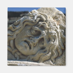 Head of Medusa Magnet