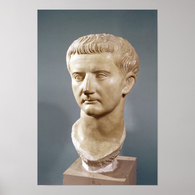 Head of the Emperor Tiberius Poster (Front)