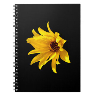 Head of yellow daisy Helenium Spiral Notebook