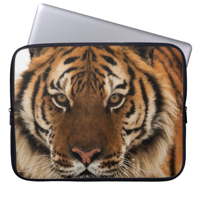 Head Shot of Siberian Tiger Laptop Sleeve (Front)
