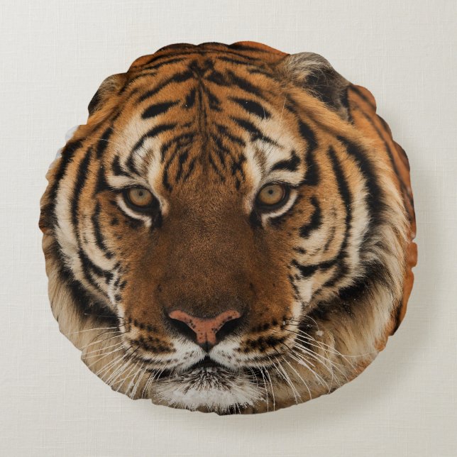 Head Shot of Siberian Tiger Round Cushion (Front)